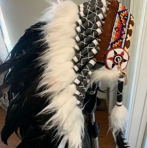 Native American head dress